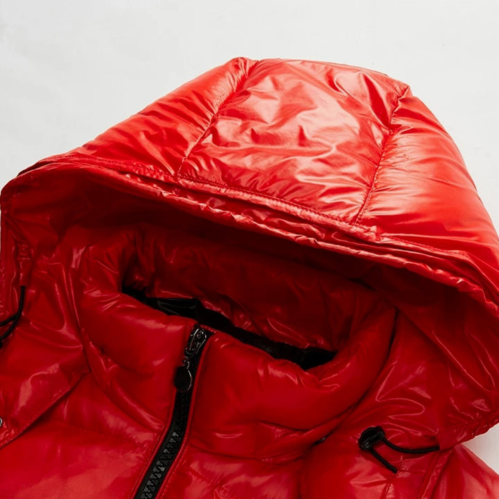 Men's Hooded Glossy Quilted Jacket Full-Zip Puffer