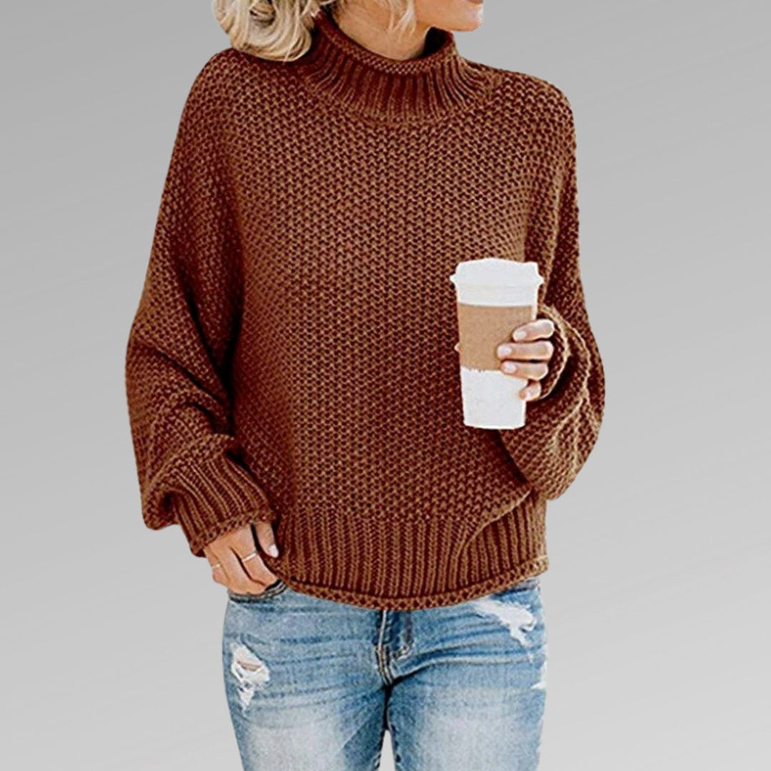Women's Elegant Turtleneck Oversized Chunky Knit Sweater - Brown